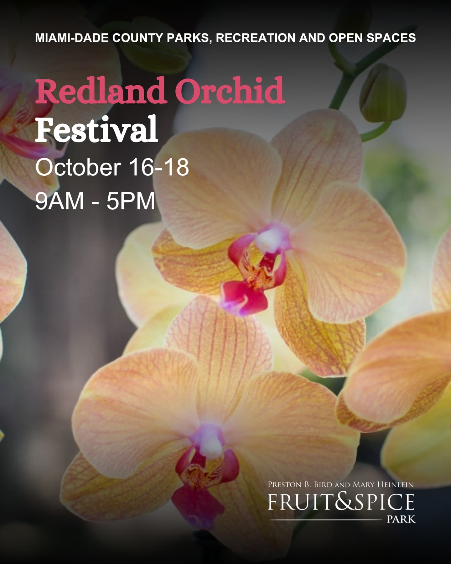 Redland Orchid Festival