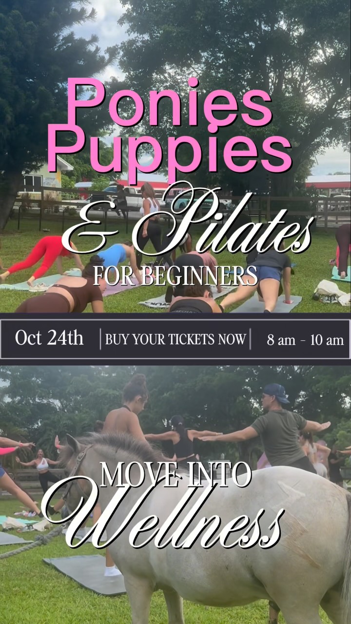 Ponies, Puppies & Pilates for Beginners