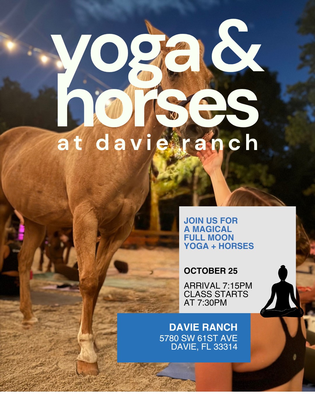 Yoga & Horses at Davie Ranch